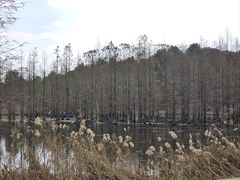 -白鹭湾湿地公园