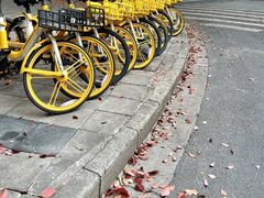 -虹口区工人文化宫