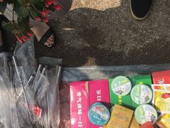 -蒲河大集