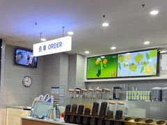-雾与山茶(大禹城店)
