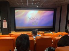 -华美国际影城(旧宫永辉店)