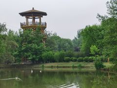 -西安浐灞国家湿地公园