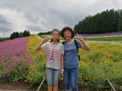 -富田农场
