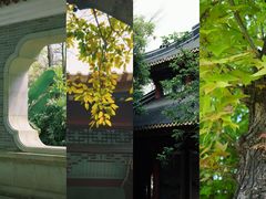 -顺峰山公园