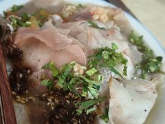 -邓氏大薄片