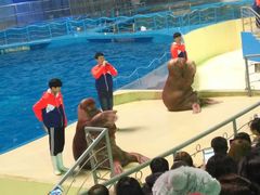 -泉城欧乐堡海洋极地世界