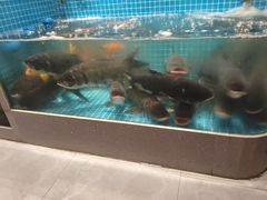 -春天里餐厅(西田城店)