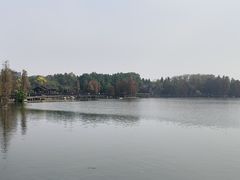 -海珠湖公园