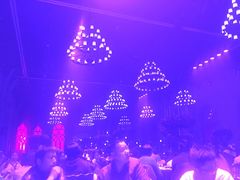 -同庆楼(花园店)