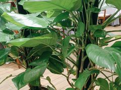 -天和晟新京菜.水煮鱼.湘土菜(国展店)