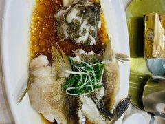 笋壳鱼-顺风海鲜港(金玉兰店)
