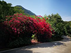 -广州市石门国家森林公园