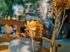 -叁秋咖啡 SANQIU COFFEE(天津河北路店)