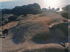 -青岛海景花园大酒店