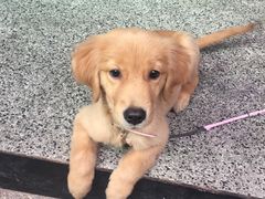 -FUTURE LOUNGE(太古里店)