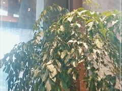 -滕头生态酒店(奉化店)