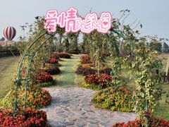 -荷兰花海
