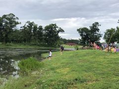 -两河城市森林公园