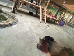 -西安秦岭野生动物园