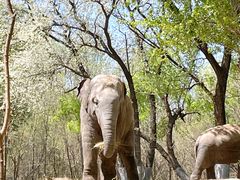 -北京野生动物园