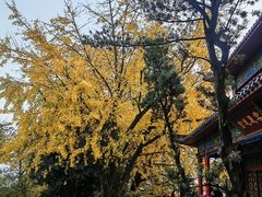 -岳麓山风景名胜区