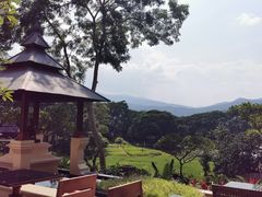 -四季酒店下午茶