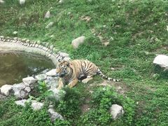 -西安秦岭野生动物园