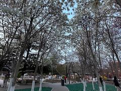 -俏江南天津时尚曲艺主题餐厅(马场道店)