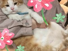 -小时光咖啡馆(北锣鼓巷店)