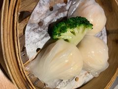 -南枝记