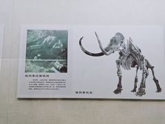 -呼伦贝尔民族博物馆