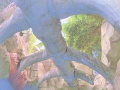 -重庆海昌加勒比海水世界