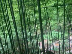 -藏龙百瀑风景区