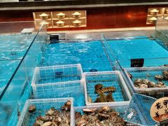 -艳阳天·非遗楚菜(武汉客厅店)