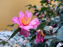 -杭州上天竺法喜讲寺