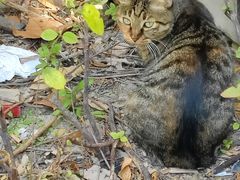 -东华大学(松江校区)