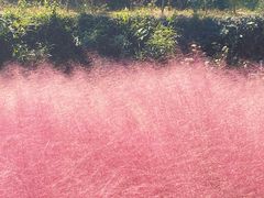 -宁波浙东大竹海景区