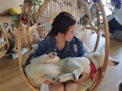 -Husky Go! 哈士奇体验馆·宠物咖啡厅狗咖