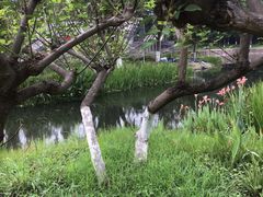 -成飞公园