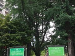 -龙头寺公园