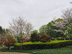 -杭州城北体育公园