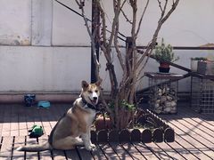 -阿兹凯乐·老洋房西餐