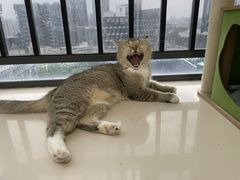 -深圳麒麟山庄