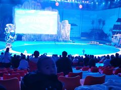 -华夏文旅海洋公园