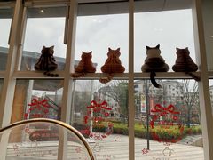 -飞行喵MR PILOT|猫舍·猫咖(静安大融城店)
