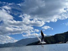 -丽江泸沽湖景区