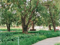 -北京市劳动人民文化宫(太庙)