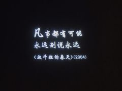 -星河寰宇IMAX影城(星河WORLD·COCO Park店)