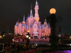 -上海迪士尼度假区