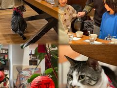 -echoes coffee回响咖啡(888街店)